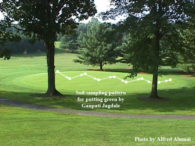 Zigzag pattern for soil sampling golf course green